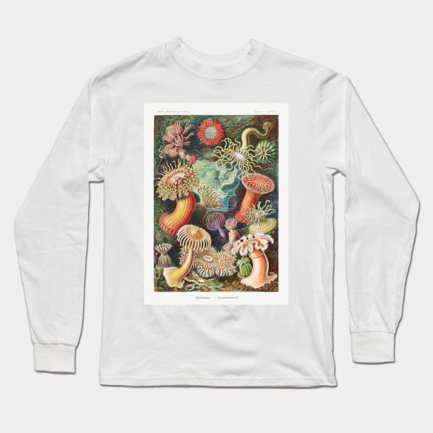 Sea Anemone Long Sleeve T-Shirt by seacucumber